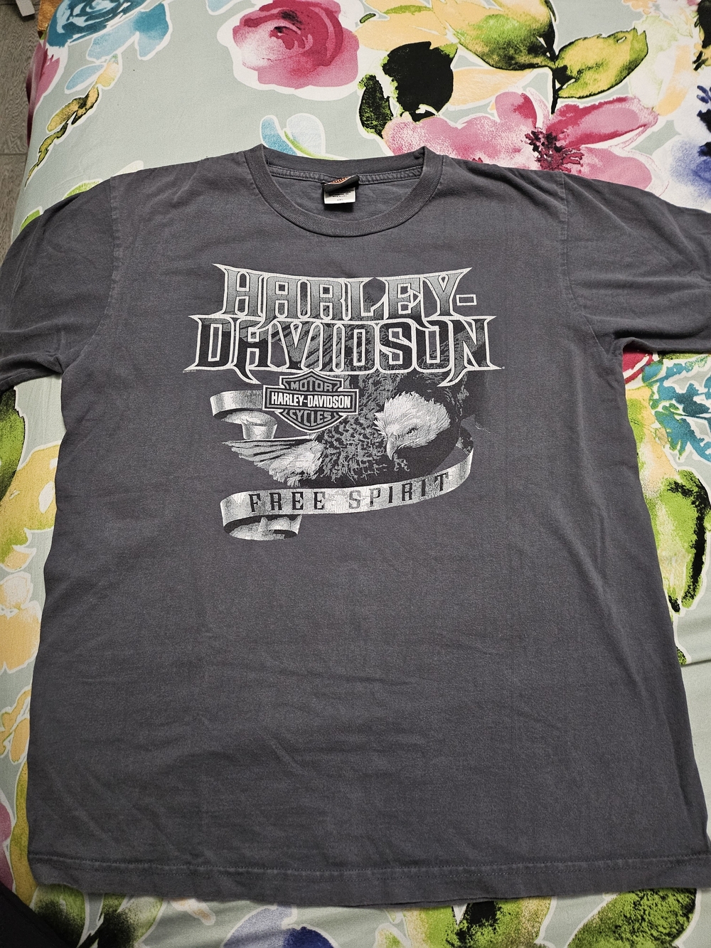 Harley-Davidson Men’s Free Spirit Graphic Tee - Gray